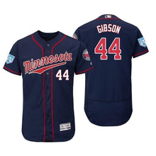 Load image into Gallery viewer, Kyle Gibson Minnesota Twins 2019 Spring Training Baseball Player Jersey 2018/19