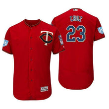 Load image into Gallery viewer, Nelson Cruz Minnesota Twins 2019 Spring Training Baseball Player Jersey 2018/19